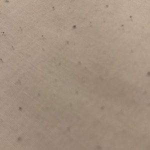 Meet your Posher, Samuel